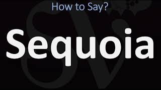 How to Pronounce Sequoia CORRECTLY [upl. by Welford]