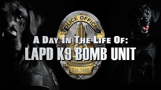 A Day In The Life Of LAPD K9 BOMB UNIT [upl. by Htinnek]