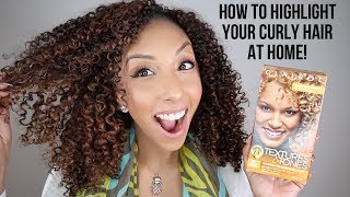 How To Highlight Curly Hair At Home Clairol Professional Textures amp Tones  BiancaReneeToday [upl. by Colwell]