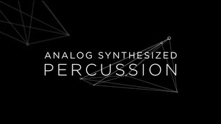 ANALOG SYNTHESIZED PERCUSSION [upl. by Lanrev]