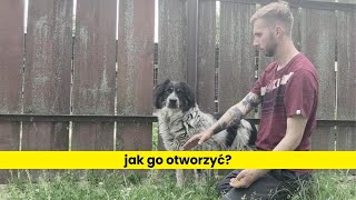 Jak otworzyć lękliwego psa klikerem [upl. by Leay222]