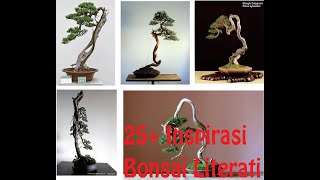 20 Bonsai Literati [upl. by Iznil]