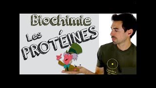 Cours de biochimie Protéines introduction [upl. by Noivart]