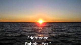 Frightened Rabbit  Yes I Would [upl. by Metzgar206]