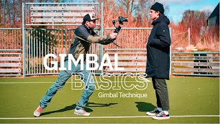 5 Basic Gimbal Tips For Beginners  Master Basics Gimbal Techniques  Improve Your Gimbal Shots [upl. by Freddie]