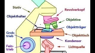 Mikroskop Aufbau Bestandteile [upl. by Guidotti]