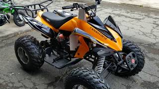 Coolster 3150CXC ATV  Automatic with Reverse 150cc Four Wheeler  Quad  Hawaii Powersports [upl. by Aniretac]