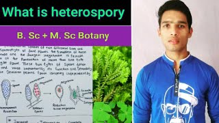 Heterospory and seed habit in pteridophyts [upl. by Nonahs536]