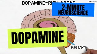 2Minute Neuroscience Dopamine [upl. by Rydder]