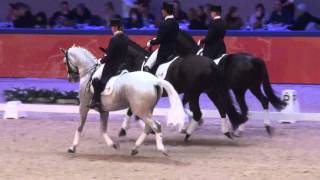 Limburgse quadrille tijdens KWPN hengstenkeuring [upl. by Bena424]