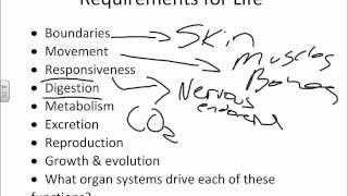 Chapter 1 Introduction to Anatomy and Physiologywmv [upl. by Uohk729]