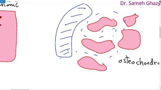 Systemic pathology 31  bone 1  bone tumors 1  DRSAMEH GHAZY [upl. by Netsrejk904]