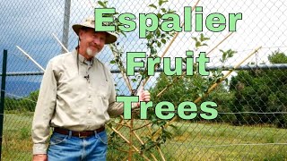 How to Espalier Fruit Trees [upl. by Fried836]