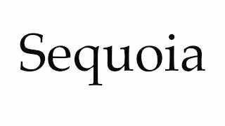 How to Pronounce Sequoia [upl. by Fasa]