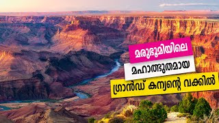 Sancharam  By Santhosh George Kulangara  USA 19  Safari TV [upl. by Billmyre]