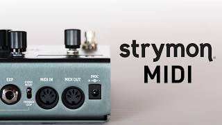 MIDI Control for Strymon Pedals [upl. by Oswal]