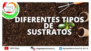 ¿CUÁLES SON LOS TIPOS DE SUSTRATO QUE EXISTEN [upl. by Ahsiekahs276]