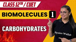 Biomolecules 01  Carbohydrates  Class 12thCUET [upl. by Annod]