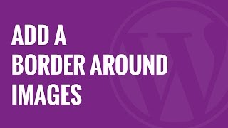 How to Add a Border Around an Image in WordPress [upl. by Nnylrefinnej]