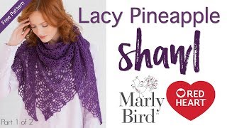 How to Crochet Lacy Pineapple Shawl Part 1 of 2 [upl. by Garrity919]