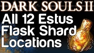 All 12 Estus Flask Shard Locations  Dark Souls 2  WikiGameGuides [upl. by Jenda]