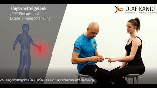 Fingermittelgelenk PIP Flexion amp Extensionseinschränkung [upl. by Rudin]