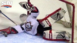 quotThe Dominatorquot Dominik Hasek Career Highlights [upl. by Ikeda]