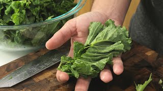 Tasty Kale Chips Made in The Dehydrator [upl. by Dusa961]