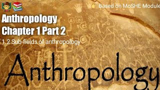 Anthropology Chapter 1  Part 2   Subfields of anthropology [upl. by Wilda]