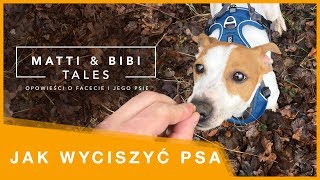 JAK WYCISZYĆ PSA  gdy ma za dużo energii lub jest reaktywny [upl. by Rubel]