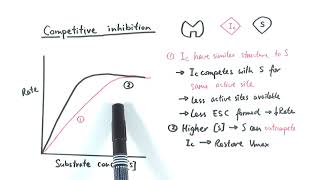 AS Biology  Enzyme inhibition OCR A Chapter 43 [upl. by Ynor]