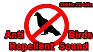 Anti Birds Repellent Sound  10kHz 20kHz chase the bird away avoid bird stop bird [upl. by Reseta504]