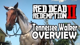 Red Dead Redemption 2 Horses  Tennessee Walker Overview [upl. by Renaldo]