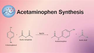 Acetaminophen Synthesis Mechanism  Organic Chemistry [upl. by Alcina]