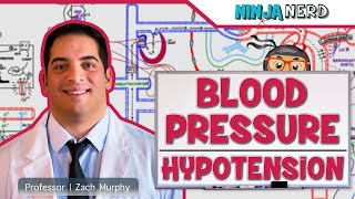 Cardiovascular  Blood Pressure Regulation  Hypotension [upl. by Botzow13]