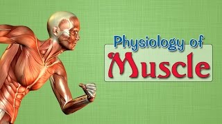 Easy Physiology  Muscle  2Isometric amp Isotonic contractions [upl. by Ghassan452]