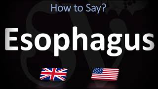 How to Pronounce Esophagus CORRECTLY [upl. by Nedda]