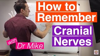 How To Remember Cranial Nerves [upl. by Endo]