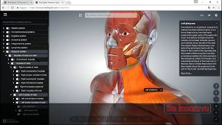 Corpo Humano em 3D completo ossos tecidosetc [upl. by Oeramed804]