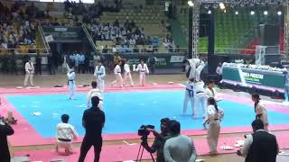 Kukkiwon Team Demonstration Part 02 [upl. by Carrelli]