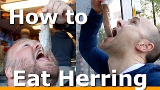 3 BEST ways to Eat Herring in Amsterdam with Woltersworld [upl. by Ainod]