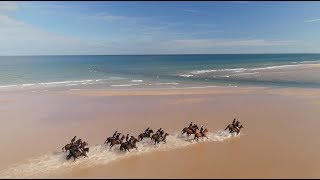 Kings Troop Royal Horse Artillery on Holkham Beach giving their horses a holiday from London [upl. by Notserk148]