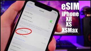 How To Activate eSIM on Dual Sim iPhone XR XS XS Max International Travel Data with GigSky [upl. by Iorio634]