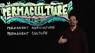 What is Permaculture [upl. by Dulcle]