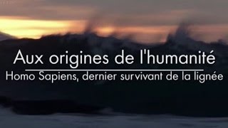 Aux origines de lhumanité  Homo Sapiens dernier survivant de la lignée 33 [upl. by Yenhpad996]