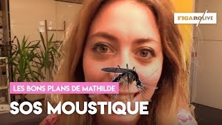 Comment éloigner les moustiques [upl. by Main]