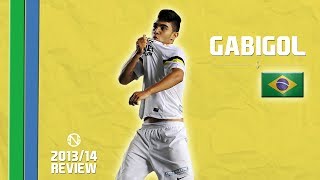 GABRIEL GABIGOL BARBOSA  Goals Skills Assists  Santos  20132014 HD [upl. by Ydda559]