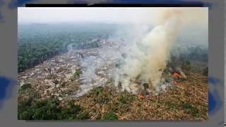 O Dia Mundial do Meio Ambiente nasceu aqui Conferência de Estocolmo 1972 [upl. by Damahom]