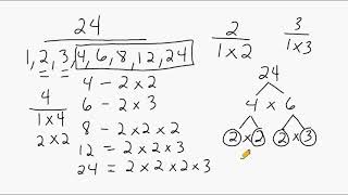 Factors Prime Factors and Composite Factors [upl. by Starlin422]