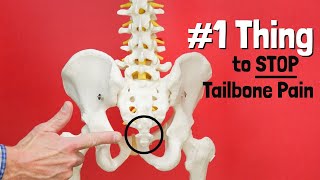 1 Thing to STOP Tailbone or Sit Bone Pain  Giveaway [upl. by Nilam]